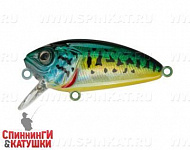 Venom Perch (EG-134#945V)
