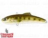 #027-NS Minnow