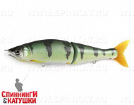 #INT01 Green Perch