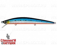 Blue Back Silver OB Fluo (EG-145C-F#A234-SBO-LU)
