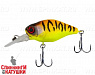tropical mat tiger