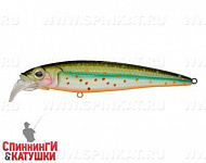 Silver Loach (EG-124D#964T)