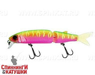 Dragon fruit mat tiger