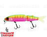 Dragon fruit mat tiger