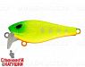 Lemon Mat Tiger (EG-239#A178S)