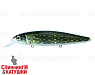 Pike