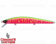 Watermelon Mat Tiger (EG-145B-F#A230S)