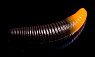 цв. 222