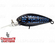 Black Beetle (EG-202F#123F)