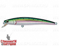 Pacific Sardine (JL-120F#692-713-RP)