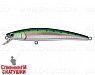 Pacific Sardine (JL-120F#692-713-RP)