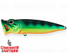 Natural Perch (SH-002C#A45T)