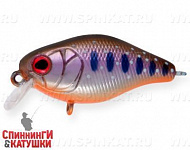 Arctic Char (EG-164S#A142-264)