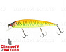 Tropical mat tiger