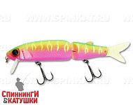 Dragon fruit mat tiger