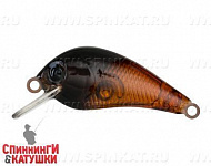 Maybug (EG-184-SP#GC08G)