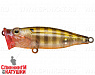 Broun Gill Transparent (SH-002B#A68G)