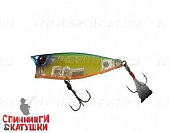 FP Lime Squash
