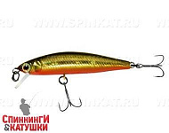 Hl gold & black