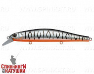 Grey Shadow Mat Tiger (EG-193C-SP#A243ES)