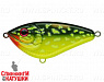 Hot Pike (EG-064#AC202F)