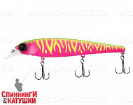 Dragon fruit mat tiger