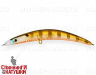 Broun Gill Transparent (EG-173A#A68G)