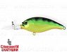 Natural Perch (JL-036F#A45E)