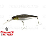 Reservoir shad