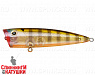 Broun Gill Transparent (EG-004#A68G)