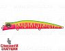 Watermelon Mat Tiger (JL-253F#A230S)