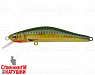 Hot Spotted Bullhead (EG-193B-SP#SB002)