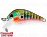 Bluegill (EG-184-SP#630V)