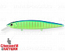 Blue Mat Tiger (EG-191-SP#597S)