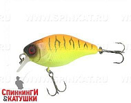 Tropical mat tiger