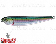 Pacific Sardine (EG-029#692-713-RP)