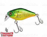 Lime squash