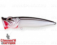 Black Back Silver (SH-002C#A010-EP)