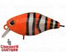 Clownfish (EG-164F#C130)
