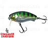 Hl Blue Gill