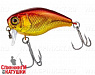 Hl red & gold