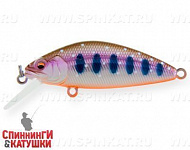 Arctic Char (EG-162-SP#A142-264)