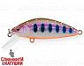 Arctic Char (EG-162-SP#A142-264)