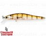 Broun Gill Transparent (EG-192A-SP#A68G)