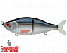 Whitefish (EG-051#C384F)
