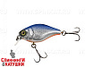 Blue Shad