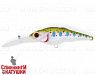 EG-081L#620T