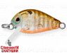 Broun Gill Transparent (EG-182-SP#A68G)