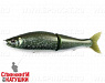 #INT02 Northern Pike