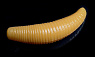 цв. 37